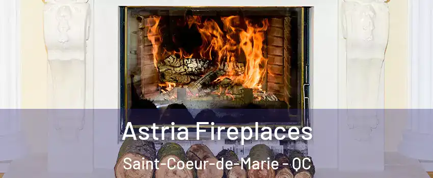  Astria Fireplaces Saint-Coeur-de-Marie - QC