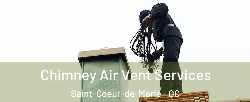  Chimney Air Vent Services Saint-Coeur-de-Marie - QC
