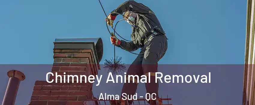  Chimney Animal Removal Alma Sud - QC