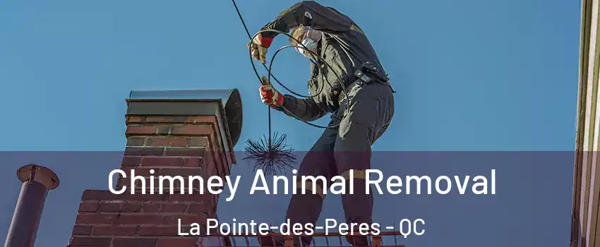 Chimney Animal Removal La Pointe-des-Peres - QC