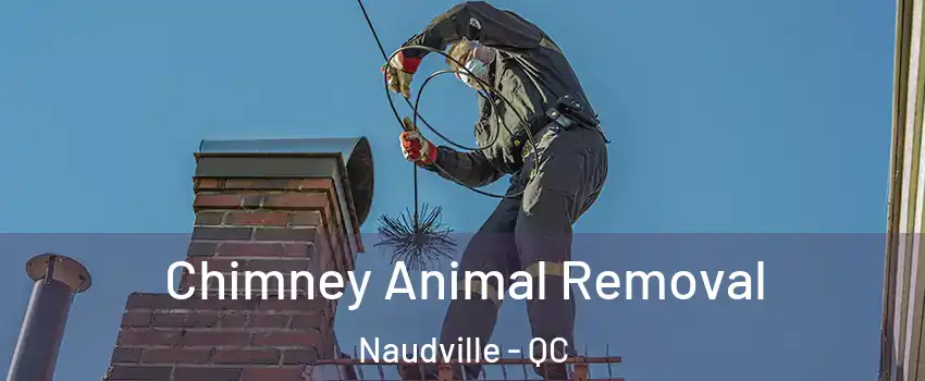 Chimney Animal Removal Naudville - QC
