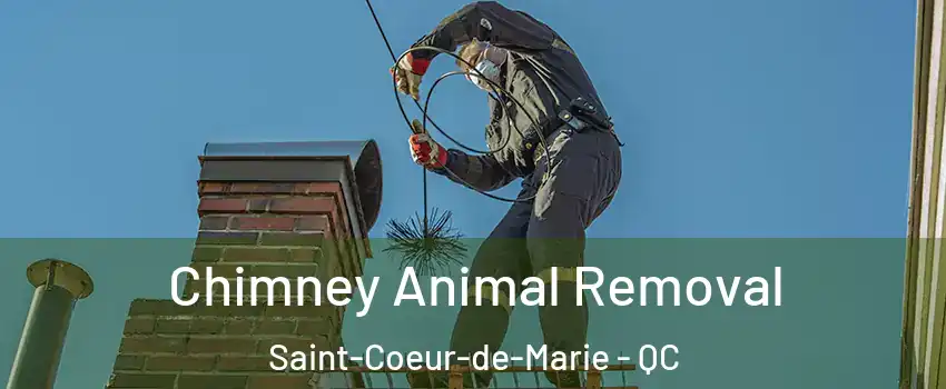 Chimney Animal Removal Saint-Coeur-de-Marie - QC