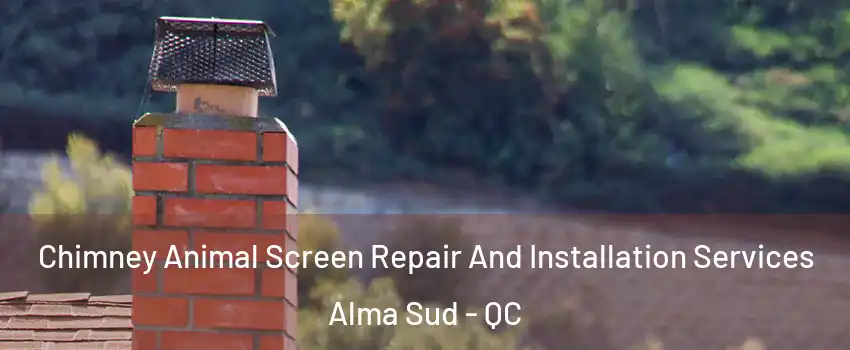  Chimney Animal Screen Repair And Installation Services Alma Sud - QC