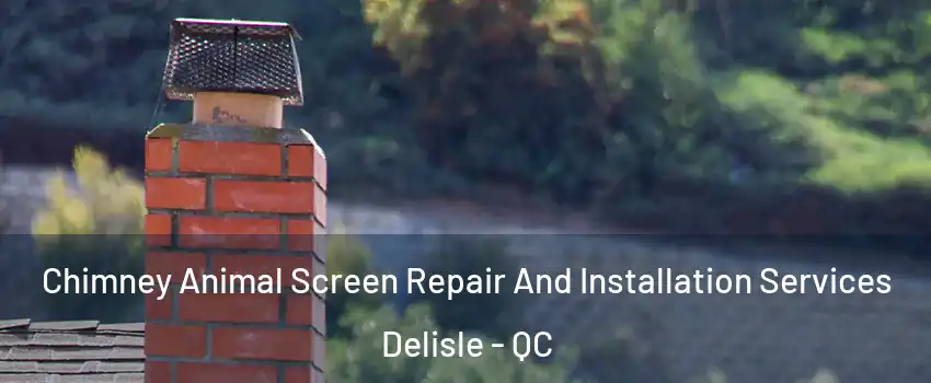  Chimney Animal Screen Repair And Installation Services Delisle - QC