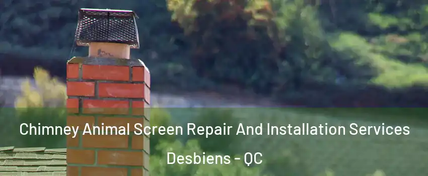 Chimney Animal Screen Repair And Installation Services Desbiens - QC