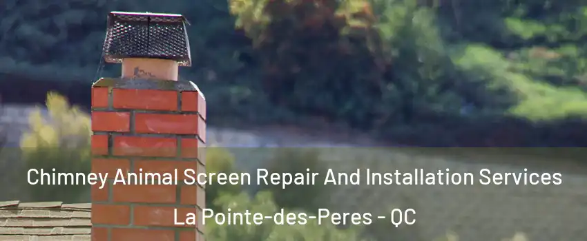  Chimney Animal Screen Repair And Installation Services La Pointe-des-Peres - QC