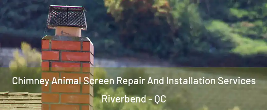  Chimney Animal Screen Repair And Installation Services Riverbend - QC