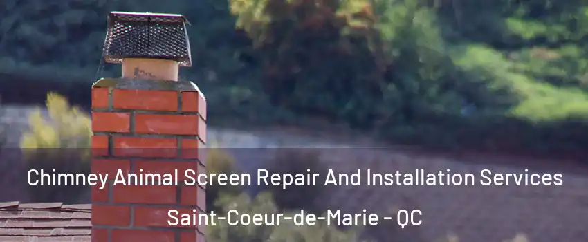  Chimney Animal Screen Repair And Installation Services Saint-Coeur-de-Marie - QC