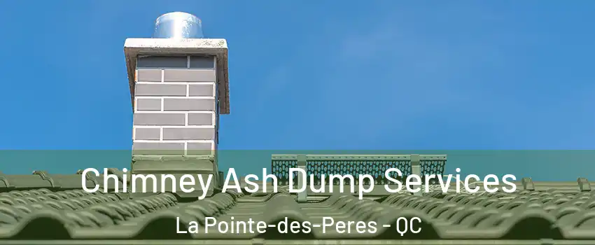  Chimney Ash Dump Services La Pointe-des-Peres - QC