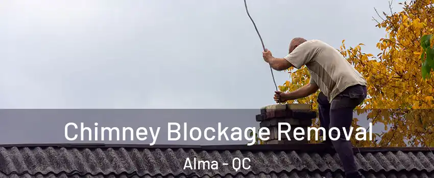  Chimney Blockage Removal Alma - QC