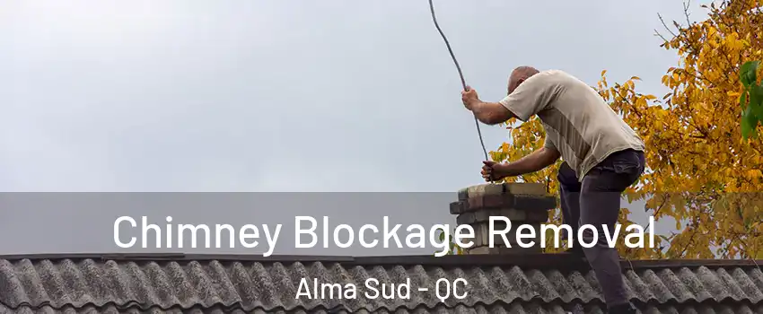  Chimney Blockage Removal Alma Sud - QC