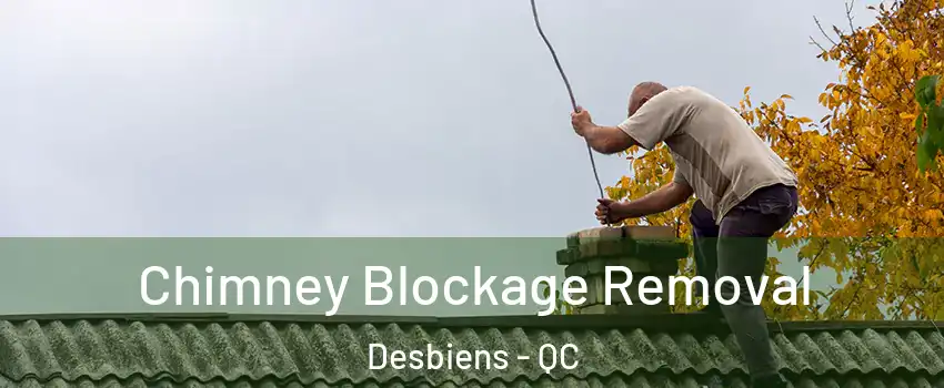  Chimney Blockage Removal Desbiens - QC