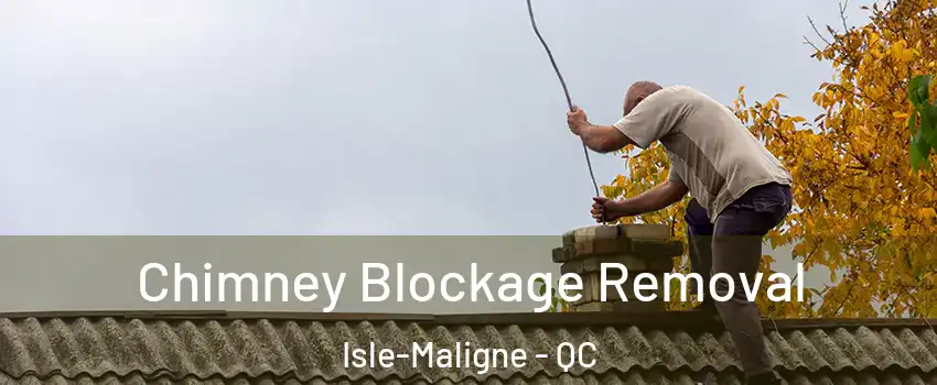  Chimney Blockage Removal Isle-Maligne - QC