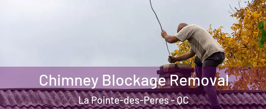  Chimney Blockage Removal La Pointe-des-Peres - QC