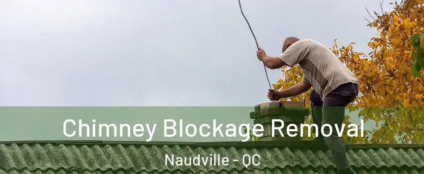  Chimney Blockage Removal Naudville - QC