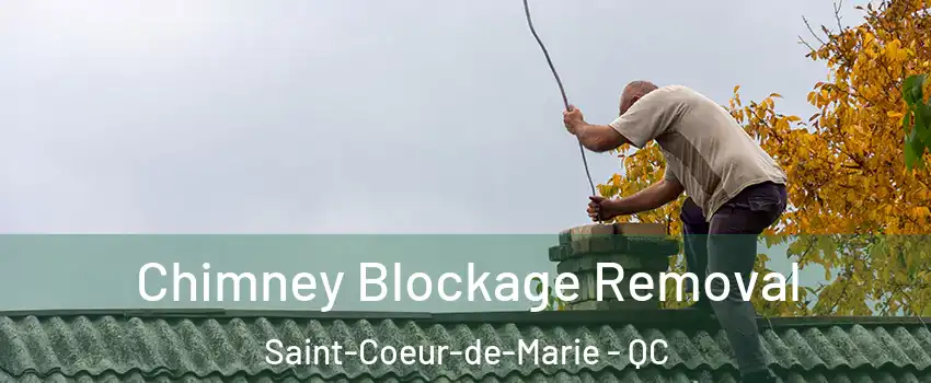  Chimney Blockage Removal Saint-Coeur-de-Marie - QC