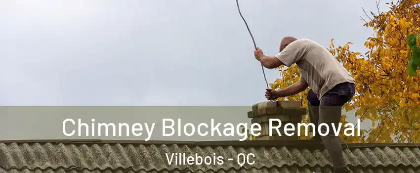  Chimney Blockage Removal Villebois - QC