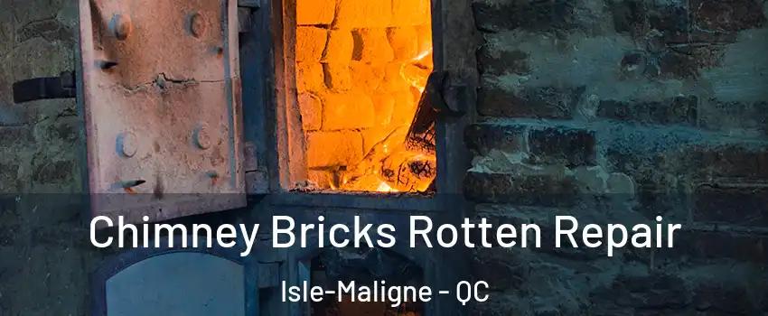  Chimney Bricks Rotten Repair Isle-Maligne - QC