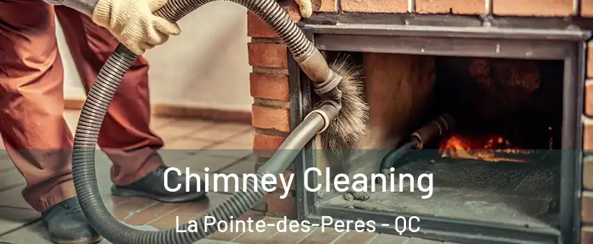  Chimney Cleaning La Pointe-des-Peres - QC