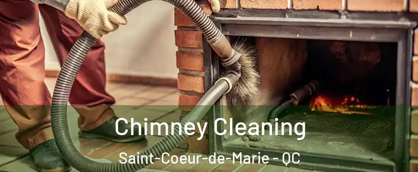  Chimney Cleaning Saint-Coeur-de-Marie - QC