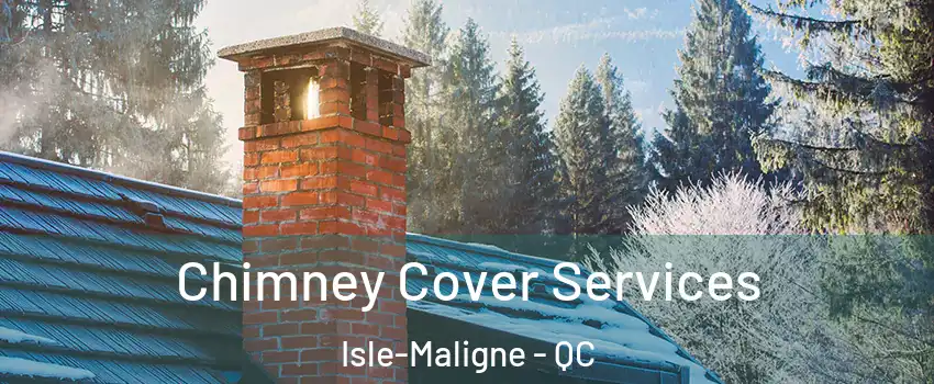  Chimney Cover Services Isle-Maligne - QC