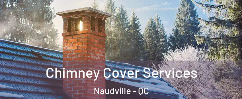  Chimney Cover Services Naudville - QC