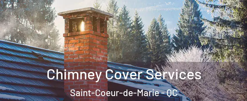  Chimney Cover Services Saint-Coeur-de-Marie - QC