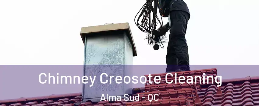  Chimney Creosote Cleaning Alma Sud - QC