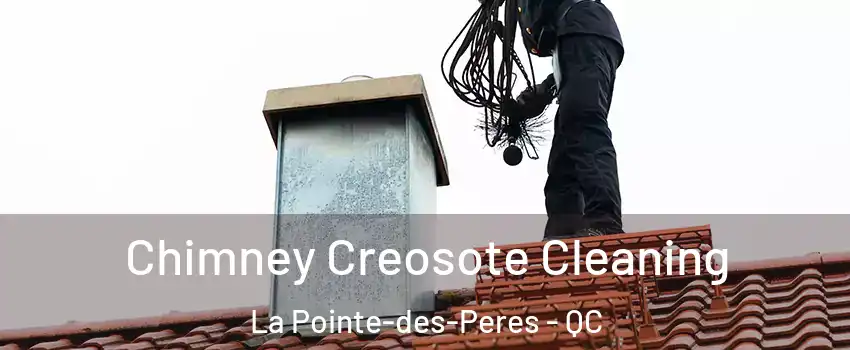  Chimney Creosote Cleaning La Pointe-des-Peres - QC