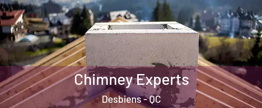 Chimney Experts Desbiens - QC