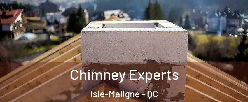 Chimney Experts Isle-Maligne - QC