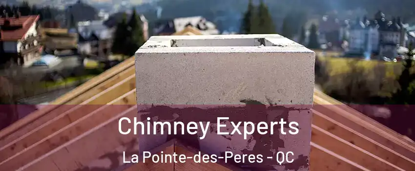 Chimney Experts La Pointe-des-Peres - QC