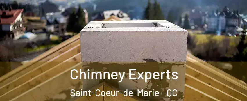 Chimney Experts Saint-Coeur-de-Marie - QC