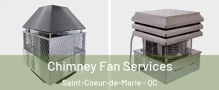  Chimney Fan Services Saint-Coeur-de-Marie - QC
