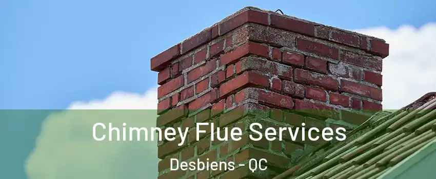  Chimney Flue Services Desbiens - QC