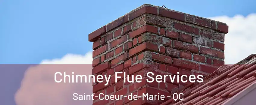  Chimney Flue Services Saint-Coeur-de-Marie - QC
