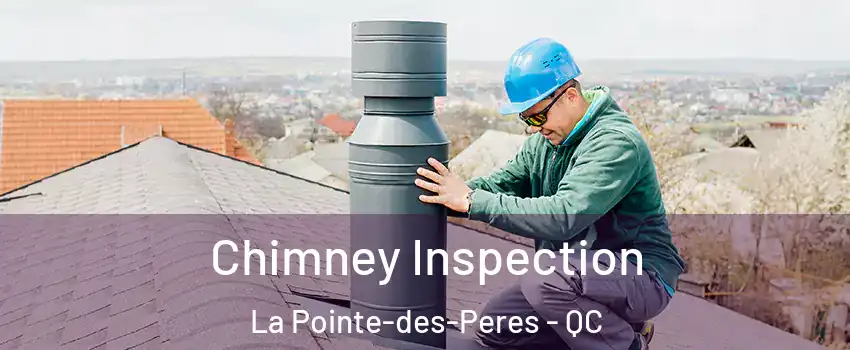  Chimney Inspection La Pointe-des-Peres - QC