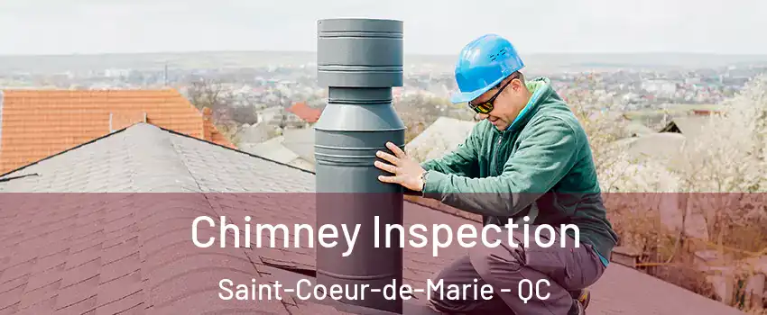  Chimney Inspection Saint-Coeur-de-Marie - QC