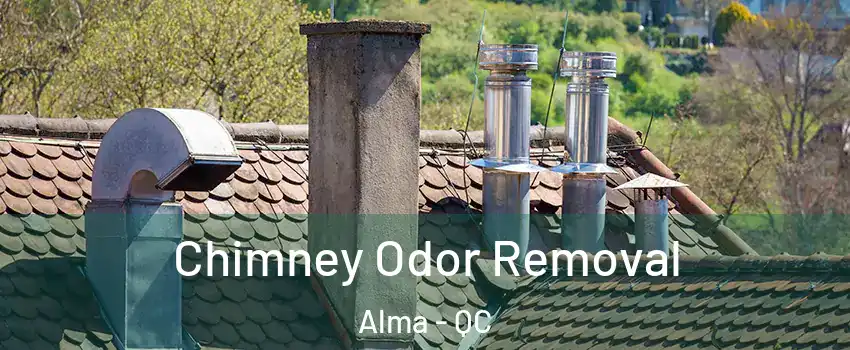 Chimney Odor Removal Alma - QC