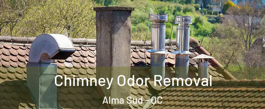  Chimney Odor Removal Alma Sud - QC