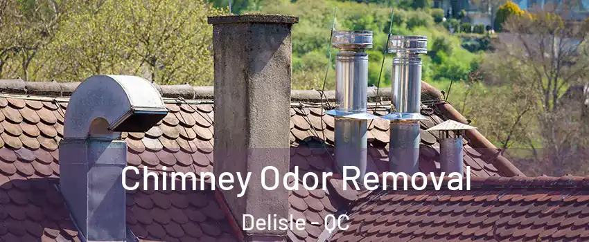  Chimney Odor Removal Delisle - QC