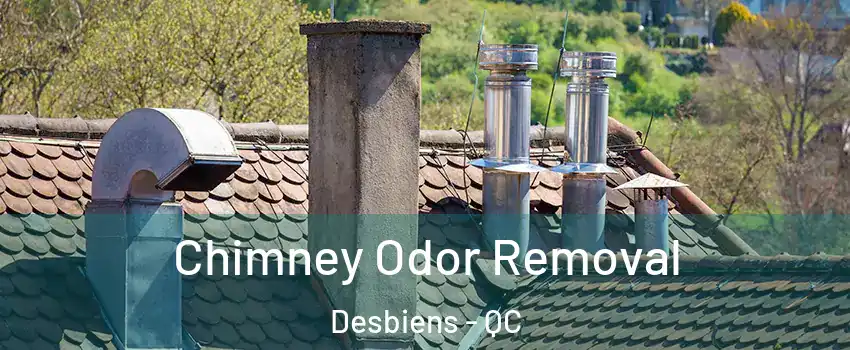  Chimney Odor Removal Desbiens - QC