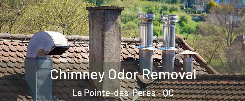  Chimney Odor Removal La Pointe-des-Peres - QC