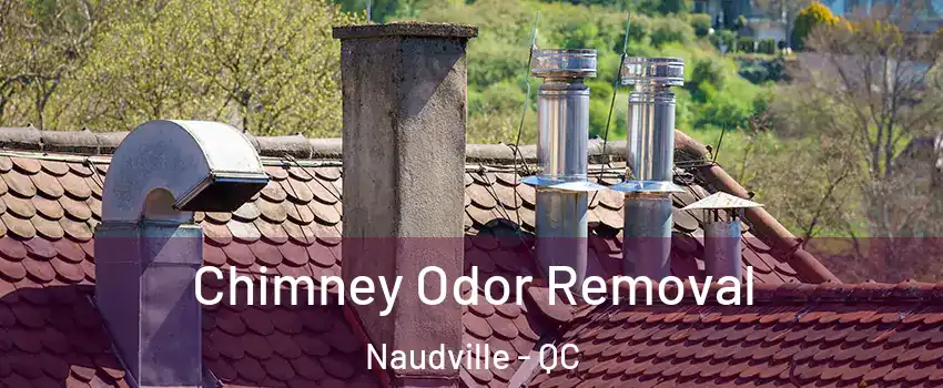  Chimney Odor Removal Naudville - QC