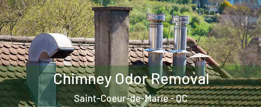 Chimney Odor Removal Saint-Coeur-de-Marie - QC