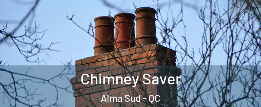  Chimney Saver Alma Sud - QC