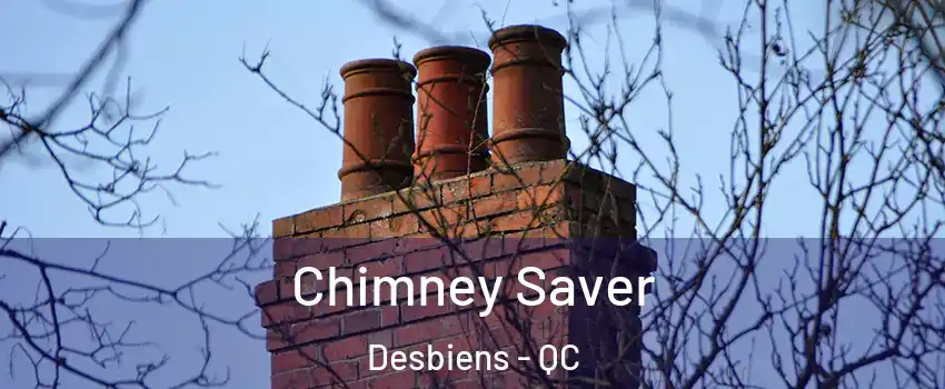  Chimney Saver Desbiens - QC