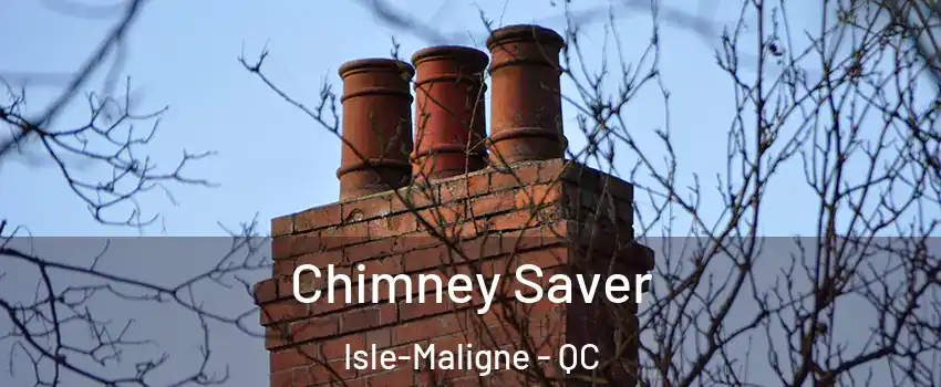  Chimney Saver Isle-Maligne - QC