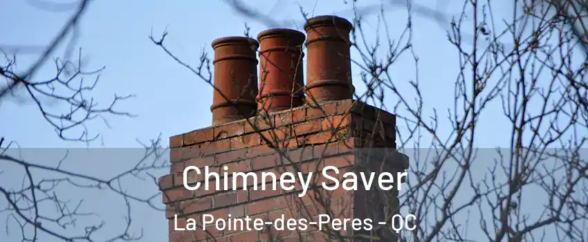  Chimney Saver La Pointe-des-Peres - QC