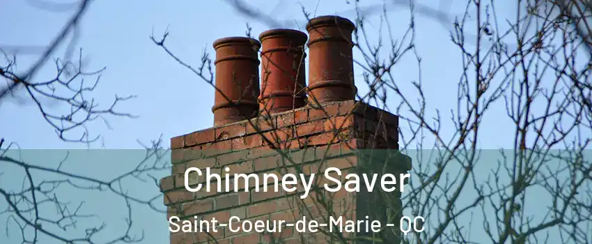  Chimney Saver Saint-Coeur-de-Marie - QC